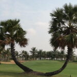 Teeing Off Twice in Siem Reap - In-Depth Look at the Key Courses