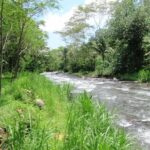 Telaga Waja Rafting and Bali ATV Ride Adventures - What the Reviews Say