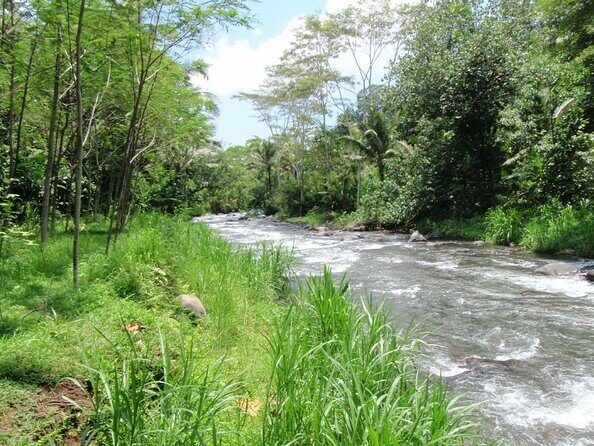 Telaga Waja Rafting and Bali ATV Ride Adventures - What the Reviews Say