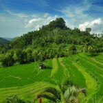 Telaga Waja Rafting and Besakih Temple Tour Packages - Practical Details and What to Expect