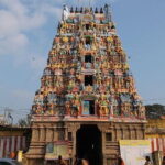 Temple Of Jupiter In Alangudi From Trichy - Why This Tour Matters