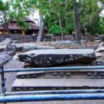 Temple Run Tour from Arugambay - Who Will Love This Tour?