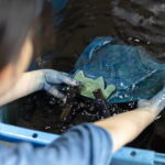 Tenugui Dyeing Experience Tour from Nagoya with English Guide - Evaluating the Price and Overall Value