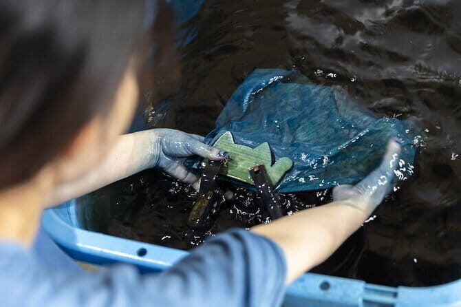 Tenugui Dyeing Experience Tour from Nagoya with English Guide - Evaluating the Price and Overall Value