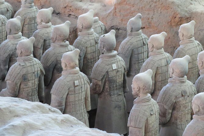 Terra Cotta Army Museum Tour with Noodle / Dumpling Making Class - What’s Included and What to Consider