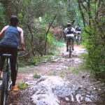 Thalangama Wetland Cycling Tour from Mount Lavinia - Summing Up: Is It Worth It?