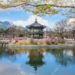 The Beauty of the Korea Cherry Blossom Discover 9days 8nights - Is This Tour Right for You?