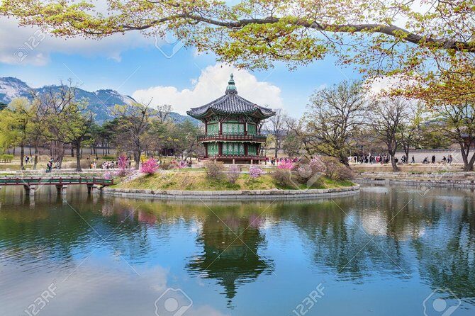The Beauty of the Korea Cherry Blossom Discover 9days 8nights - Is This Tour Right for You?
