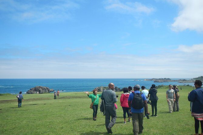 The best morning and Michinoku Shiokaze trail trekking in the Tanesashi Coast natural grassland - Who Would Enjoy This Tour?