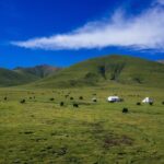 The Best of Anyang Walking Tour - What Recent Reviewers Say