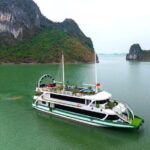 The Best of Halong Bay with 5-Star Luxury Day Cruise from Hanoi - Practical Details and Tips
