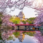 The Best of Himeji Walking Tour - The Value in Context
