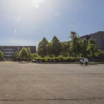 The Best of Shijiazhuang Walking Tour - The Experience: What You Can Expect