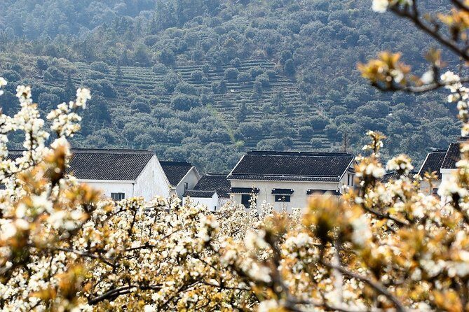 The Best of Suzhou Walking Tour - The Experience and Review Insights