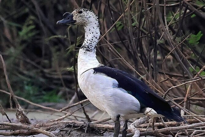 The Bird Watching private Tour and Beyond - Why This Tour Offers Great Value
