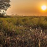 The Jungle Book Trip (The Sundorbon Forest of Bangladesh) - Practical Aspects: Transportation, Timing, and Group Size