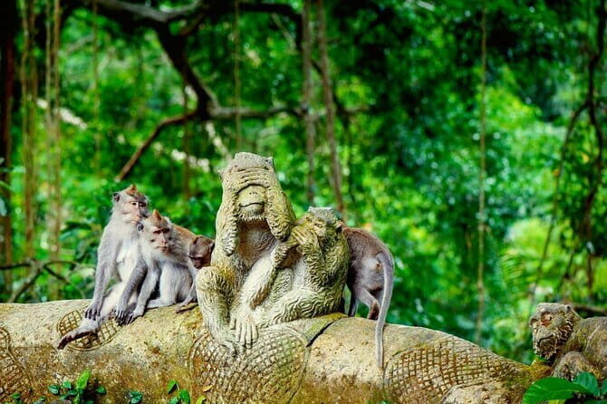 The Way To Explore Ubud with All Inclusive - Practical Details and What to Expect