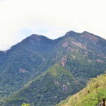 Three Icons Tour in Ella - The Authentic Experience: What Reviewers Say