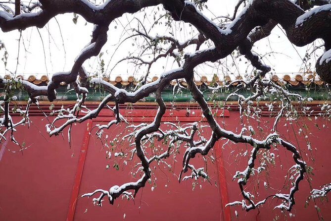 Tiananmen Square and Forbidden City Layover Tour from Beijing Airport - Analyzing the Value & Who It’s Best For