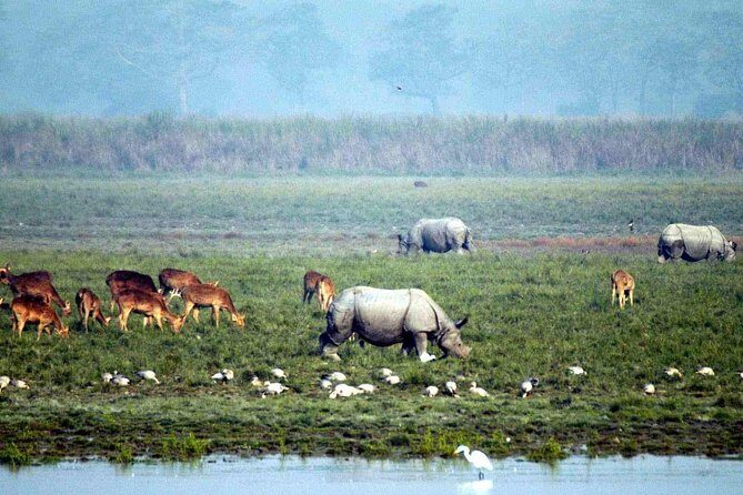 Tiger Reserve and Tribal Village - Exploring the Itinerary in Depth