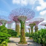 Time Travel Singapore: Self-Guided Puzzle Adventure - FAQ