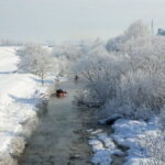 Tokachi Winter River Cruising - The Main Attractions: Birds, Ice, and Scenic Views