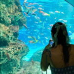 Tokyo, Aquarium Backyard Tour and View Observatory in Ikebukuro - What Makes This Tour Stand Out?
