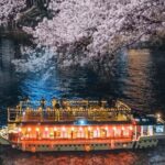 Tokyo Bay Yakatabune Cruise with Traditional JapaneseShow Drinks - Final Thoughts: Who Should Book This Cruise?