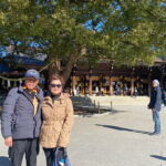 Tokyo Best West Part Tour by public transportation - Practical Details and Value