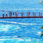 Tokyo Cherry Blossom, Hot Spring, and Strawberry Picking Tour - Who Will Love This Tour?
