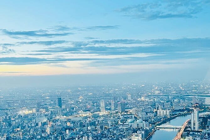 Tokyo City Private Tour with English Driver - What Makes This Tour Stand Out?