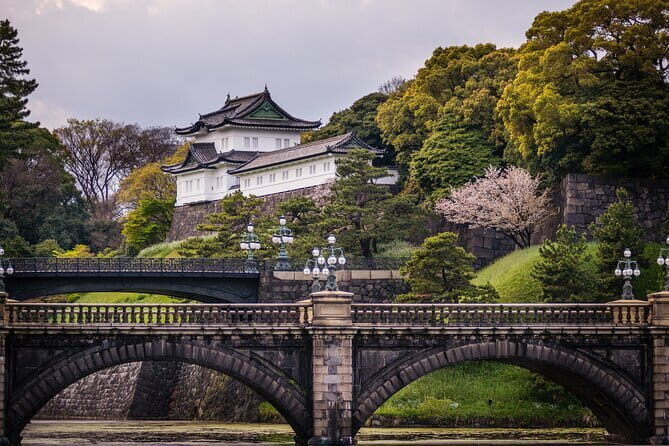 Tokyo City Tour (With English or Japanese Speaking Guide) - Potential Limitations