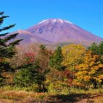 Tokyo Day Tour in Mt.Fuji,Hakone,Cruise,ropeway,Shinkansen w/Meal - Conclusions