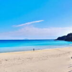 Tokyo Day Trip to Izu and Shimoda - The Practicalities and Value