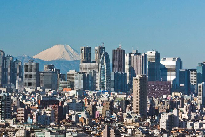 Tokyo Departure Private Transfers from Tokyo City to Tokyo-Narita Airport NRT - The Sum Up: Is This Transfer Right for You?