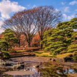 Tokyo: East Gardens Imperial PalaceSimple verAudio Guide - The Itinerary Breakdown: What to Expect from Each Stop