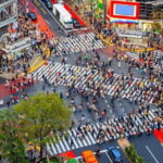 Tokyo Full Day Customize Private Tour with English Guide - What Makes This Tour Stand Out