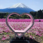 Tokyo Full Day Tour and Sightseeing with local guide - Who Should Consider This Tour?