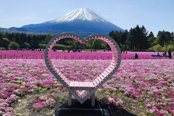 Tokyo Full Day Tour and Sightseeing with local guide - Who Should Consider This Tour?