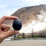Tokyo Hakone : Mt.Fuji, Owakudani, Open Air Museum, Hakone Shrine - What Travelers Say About This Tour