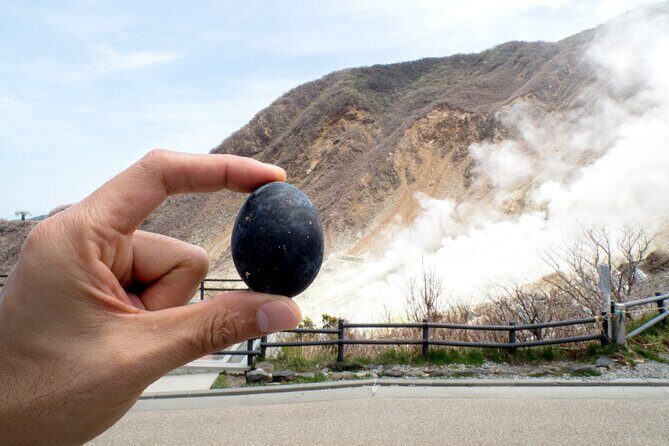 Tokyo Hakone : Mt.Fuji, Owakudani, Open Air Museum, Hakone Shrine - What Travelers Say About This Tour