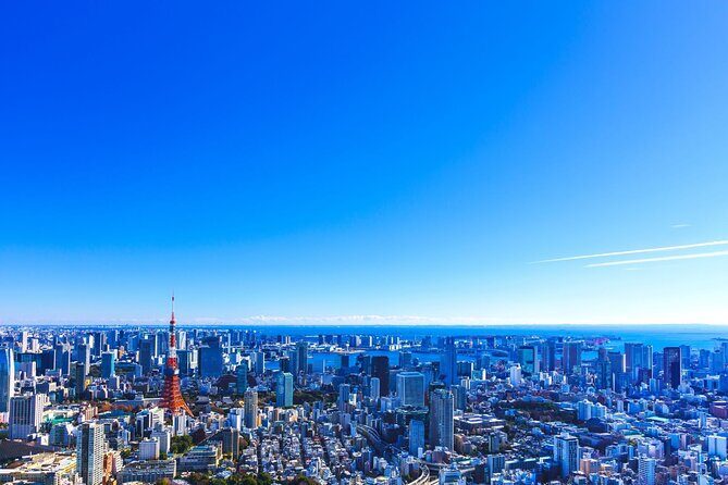 Tokyo Helicopter Cruising - Final Thoughts