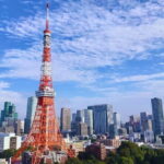 Tokyo Highlight Private Tour by Car with English Speaking Driver - What Travelers Can Expect