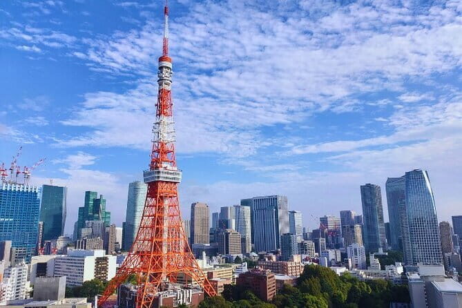 Tokyo Highlight Private Tour by Car with English Speaking Driver - What Travelers Can Expect