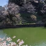 Tokyo Imperial Palace Higashi Gyoen Wellness Tour - The Practicalities: What You Need to Know