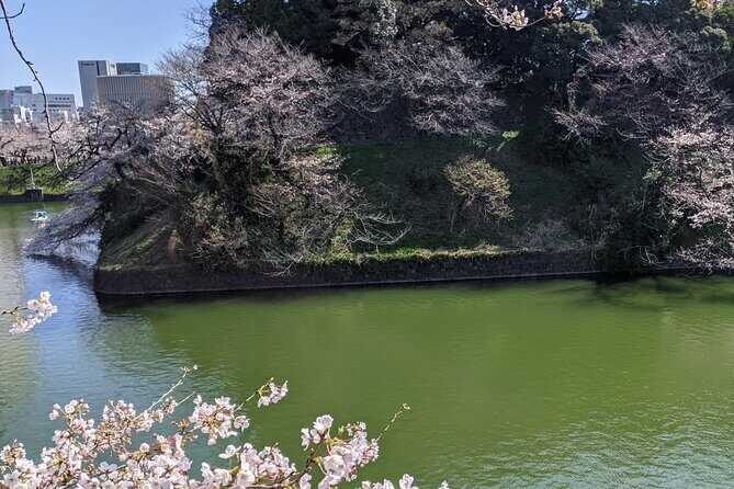 Tokyo Imperial Palace Higashi Gyoen Wellness Tour - The Practicalities: What You Need to Know