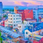 Tokyo Kamakura Day Trip - The Overall Value and Considerations