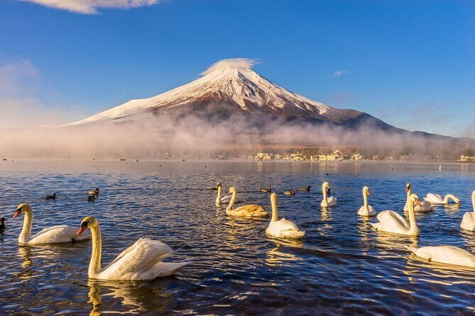 Tokyo Mt Fuji Kawaguchi and Yamanaka Onsen Tour with Pick up - FAQ