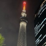 Tokyo Night Tour with English Speaking Guide - How the Tour Feels in Practice