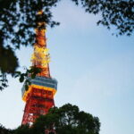 Tokyo Private City Tour - Final Thoughts